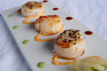 1Brixham Scallops