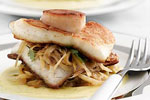 Turbot and scallops